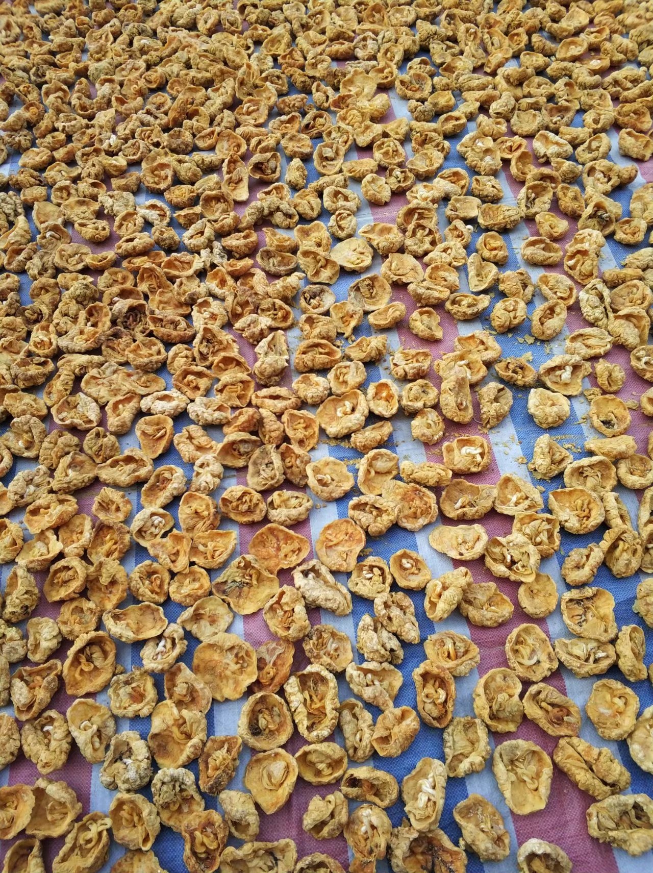 批发中药材正品胎盘 小儿胎盘 清水胎盘 干胎盘原色免费磨粉