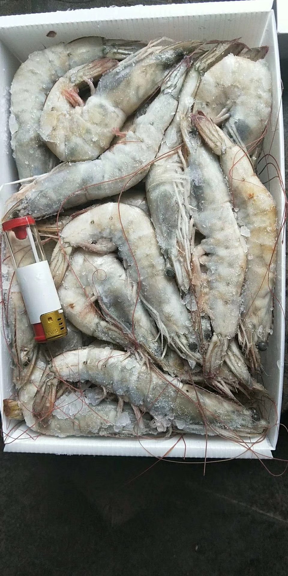 批发供应冷冻厄瓜多尔南美白对虾盐冻桑塔多尔虾白盒