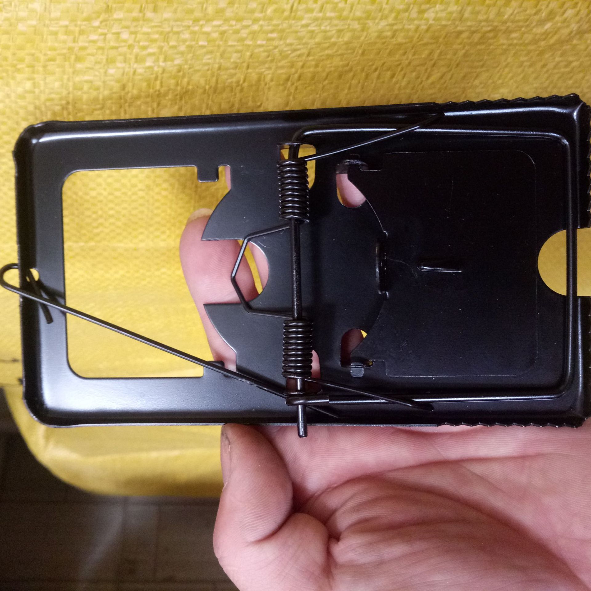 老鼠夹子黑板夹铁质黑色老鼠夹塑料 老鼠陷阱圆夹铁锚长尾夹电猫