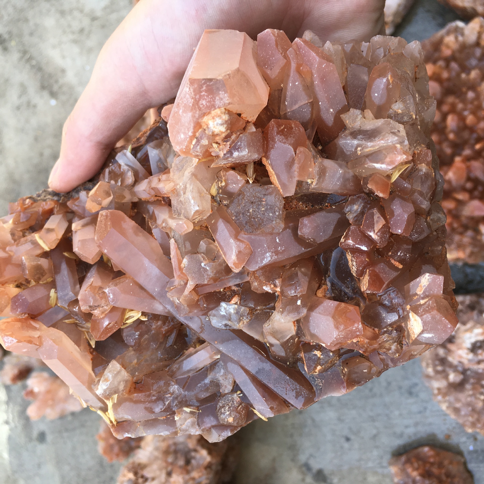 天然红水晶晶簇摆件 原石矿标 家居摆件办公装饰 产地直销