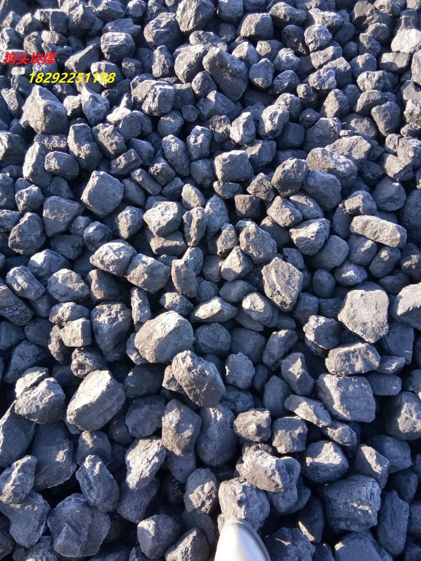 815块,38块煤,水洗13籽12,36块,25块煤,内蒙民用煤,烤烟煤,装车过筛