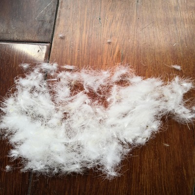 台前顺和羽绒50%白鸭绒 用于羽绒被羽绒枕芯的制作,蓬松度好