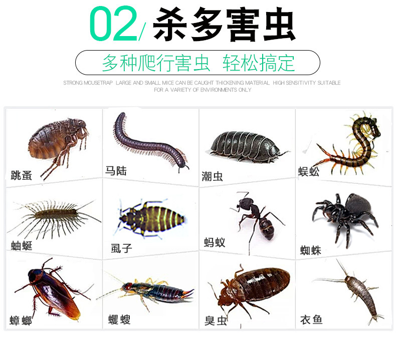 吉越 杀虫粉剂爬虫粉百虫灵 家用灭蟑螂除蚂蚁跳蚤蜈蚣潮虫蜘蛛药