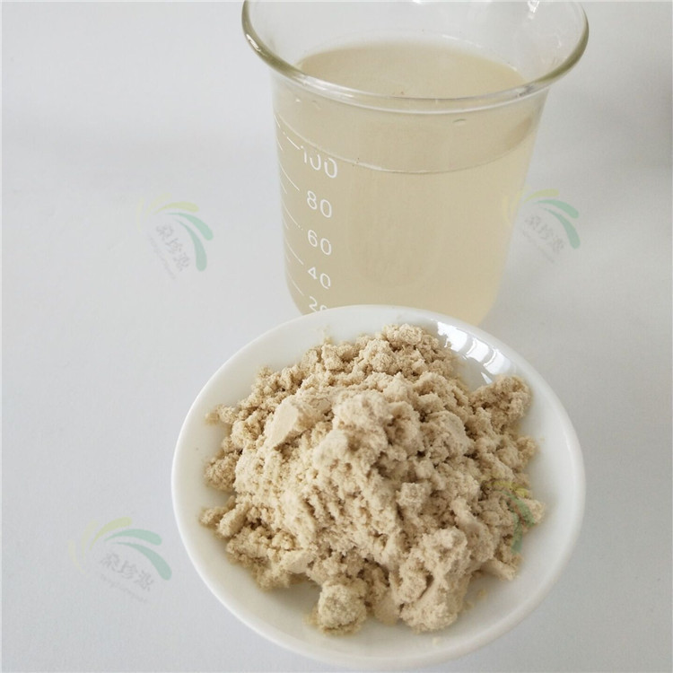 现货鳄梨粉 牛油果粉 速溶水果粉 牛油果果粉 果汁粉 提供样品