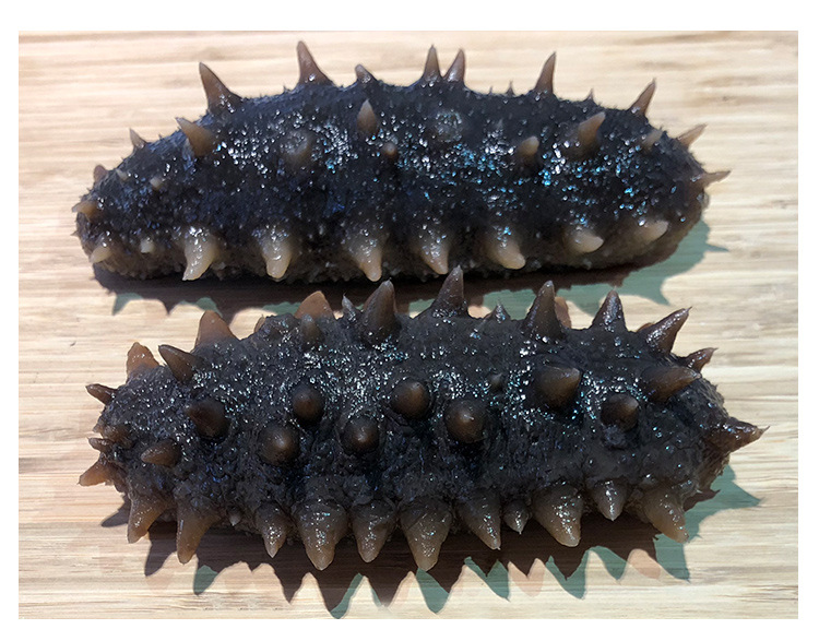 山东高端即食海参 纯深海野生刺参500g 稳定一手货源高品质海参