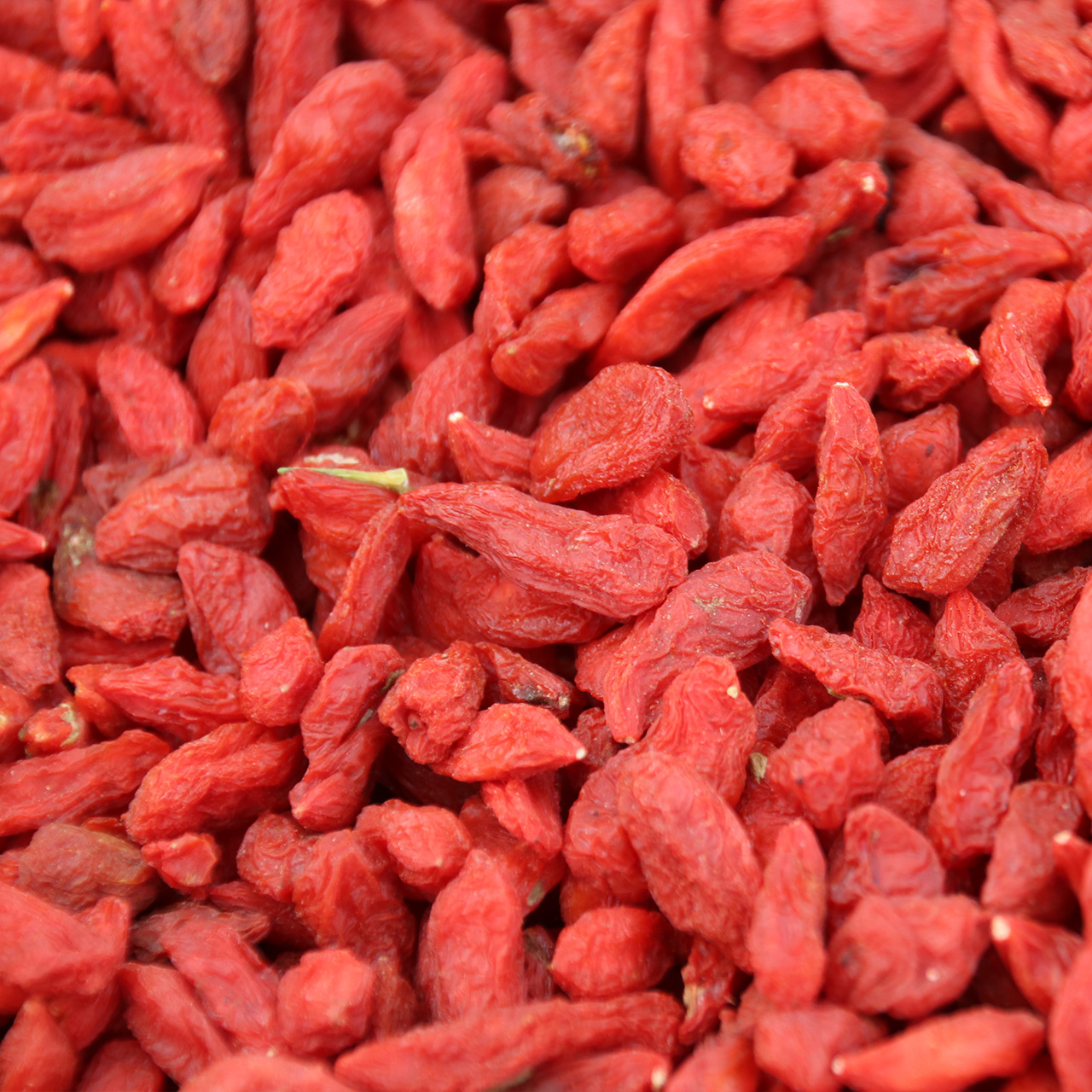 宁夏农家红枸杞免洗枸杞 头茬新货红枸杞250g一件代发