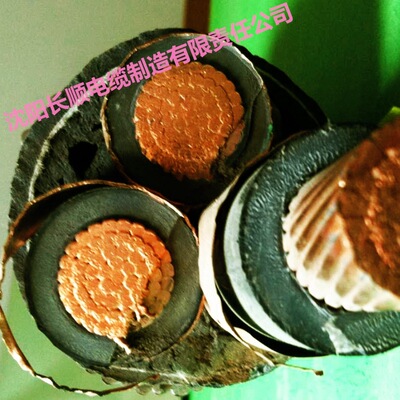 沈阳产优质10kv电力电缆沈阳长顺电缆制造有限责任公司