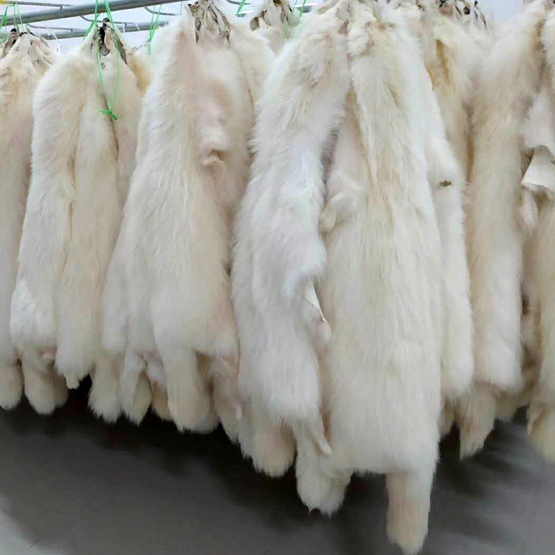 厂家批发白貉子毛领貉子毛条毛领所用张子原皮来样染色帽领貉子皮