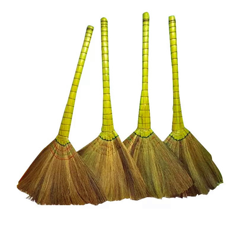 厂家直销凤尾草芒草笤帚越南苗子细苗软毛扫地笤帚扫把供学校单位
