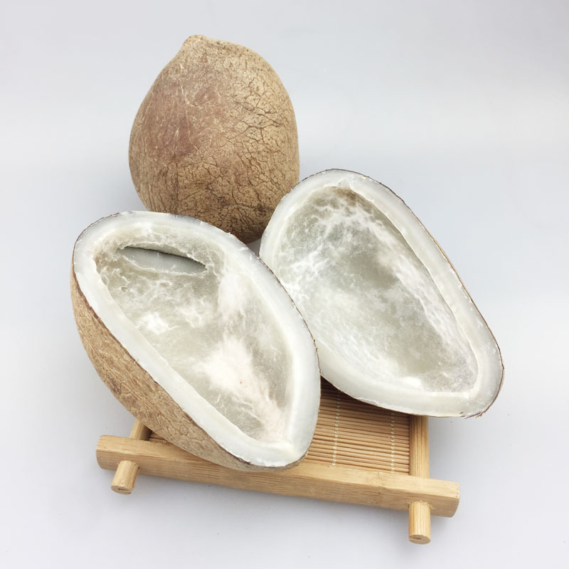 印度椰子皇玉白肉海椰皇椰青王正宗进口新鲜煲汤甜品酒店食材批发