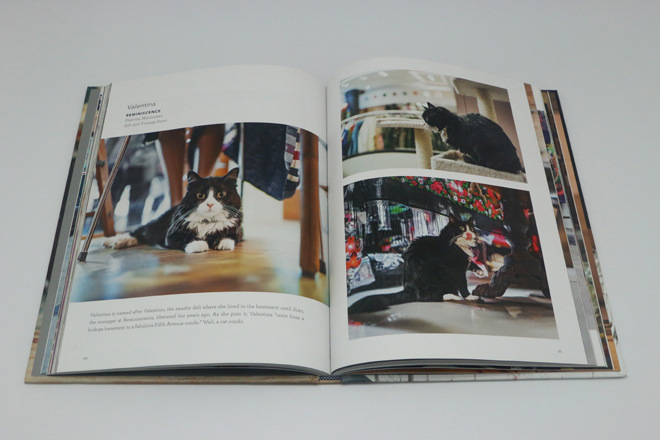 专业印刷定制书本书刊印刷 书籍图书 画册图册印刷定制 个人写真