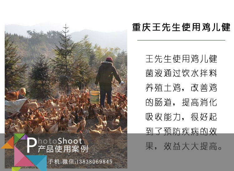 养鸡em菌液客户案例