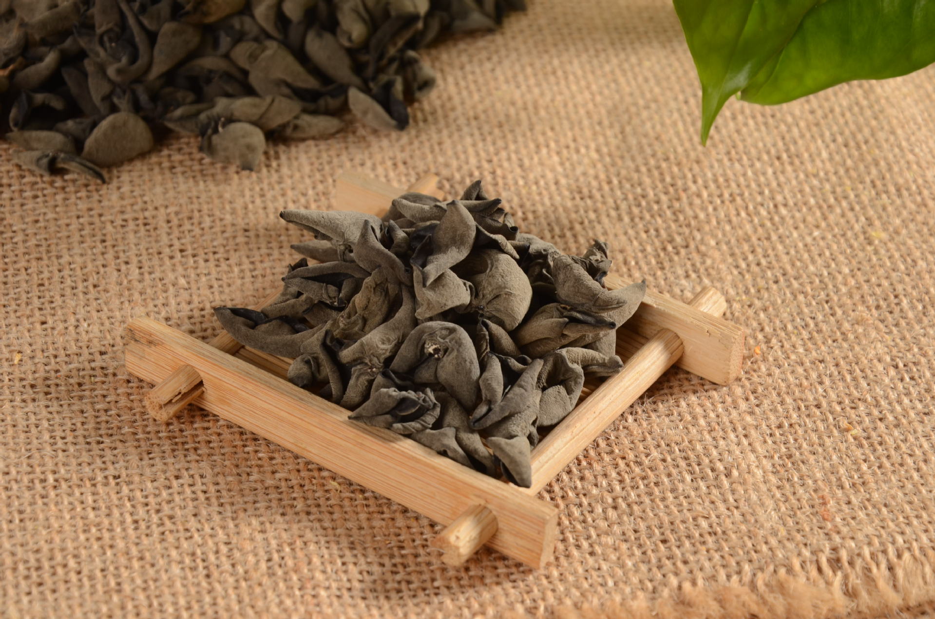 东北特产黑木耳 食用菌干货 碗耳 小秋耳 批发