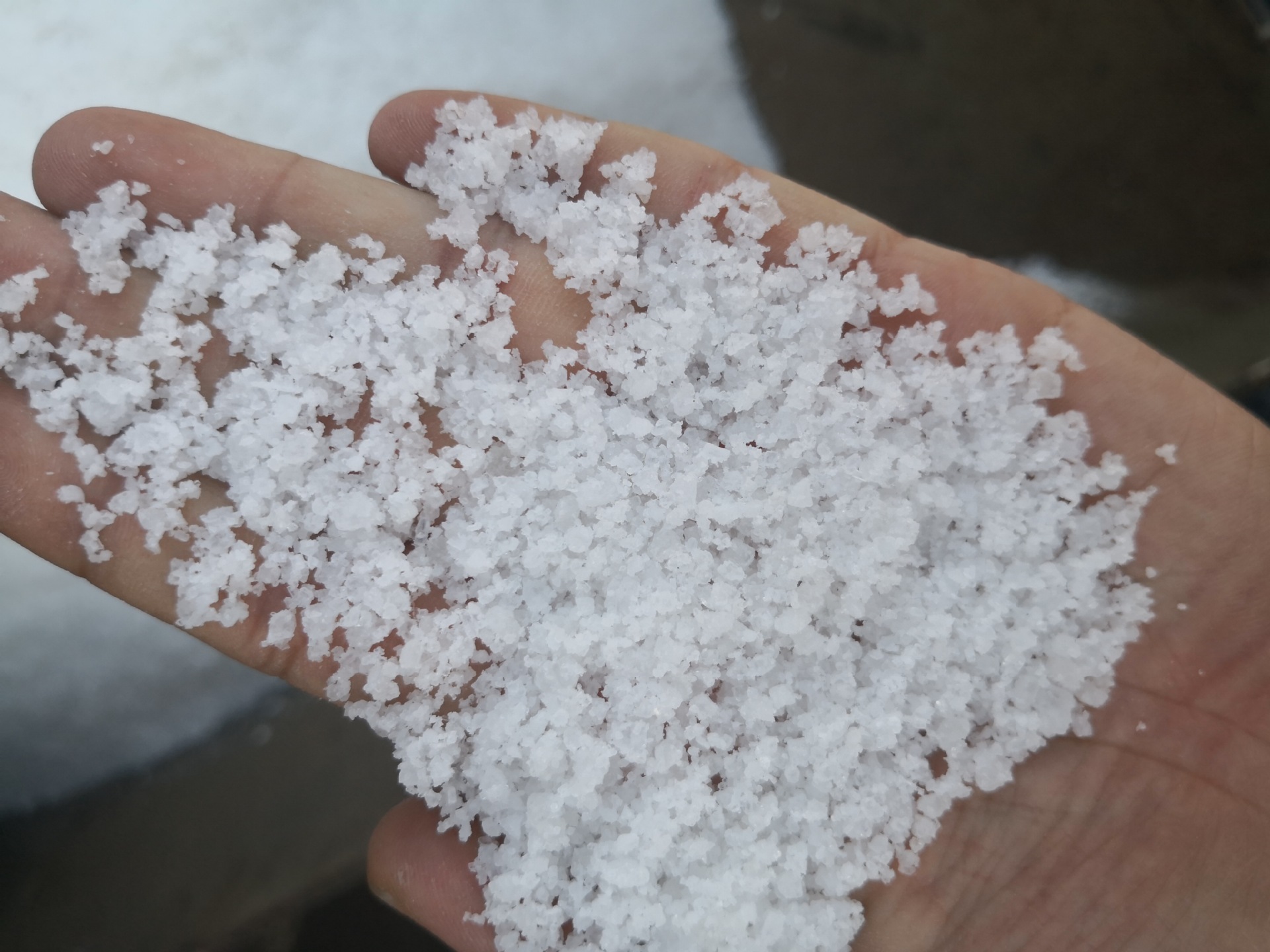 福建精制工业盐 工业粗盐 工业细盐批发零售