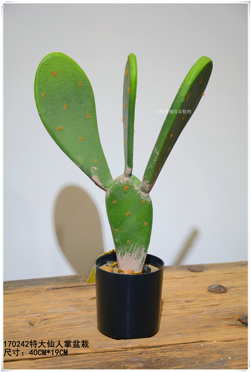仿真扁仙人掌盆景 仿真兔儿仙人掌盆栽室内家居微景观装饰