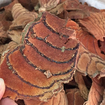 厂家直销中药材鸡血藤 大血藤大片血风藤 血风藤鸡血藤粉