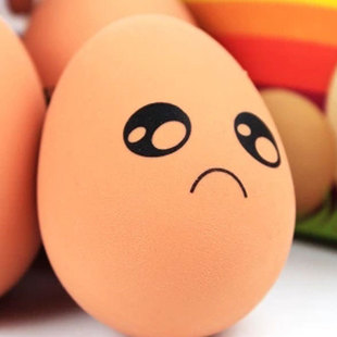 鸡蛋橡胶宠物玩具图片 - 海量高清鸡蛋橡胶宠物玩具图片大全