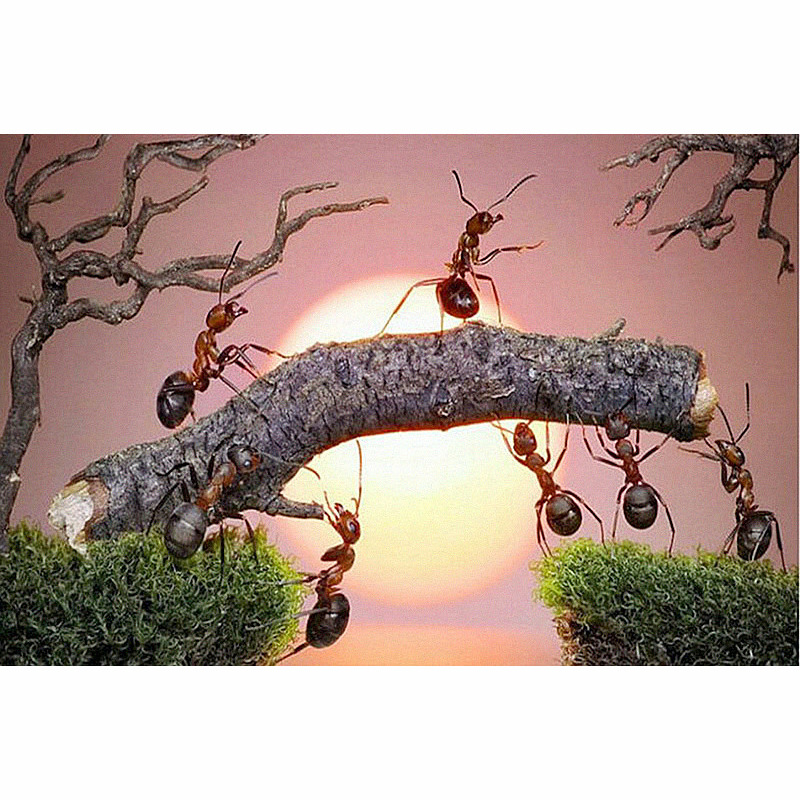 厂家直销蚂蚁钻石画满钻外贸爆款速卖通图片定做钻石十字绣