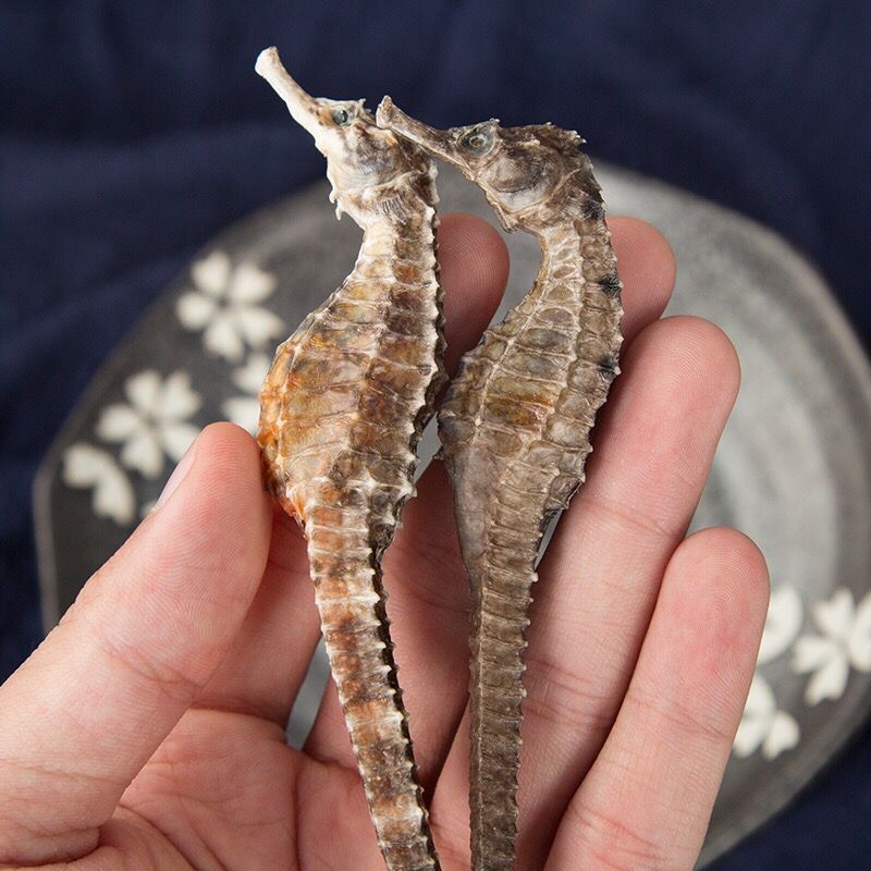 微商一件代发汕头淡水海马无添加无增重三斑海马