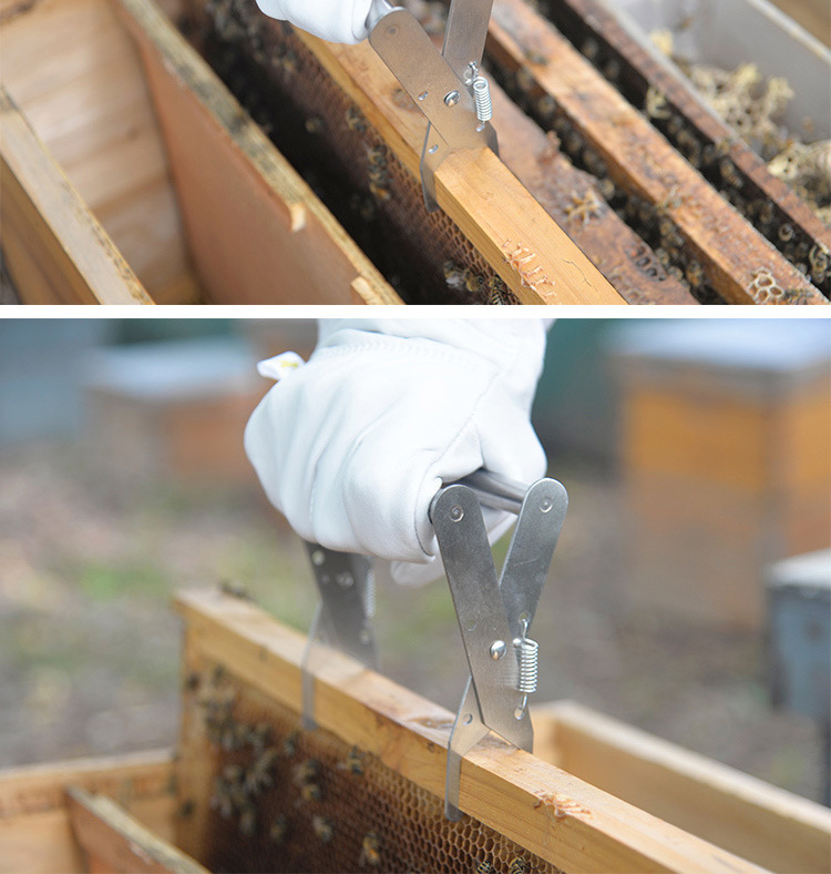 养蜂工具 巢框夹子木柄提蜂脾夹子巢框夹转场专用养蜂用品