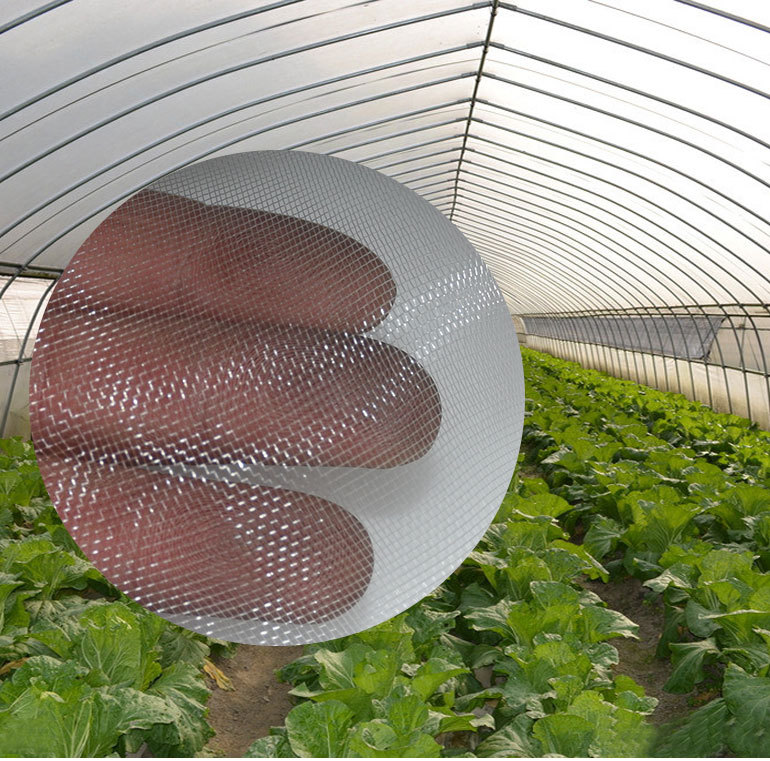 厂家批发温室大棚60目防虫网防虫罩批发生态农业物理防虫网