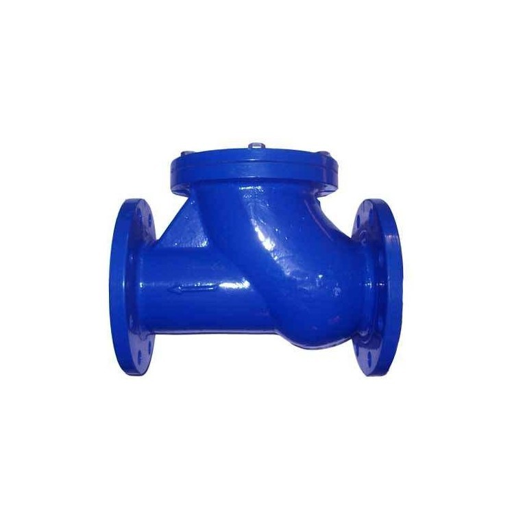 hq41x滑道滚球式止回阀 法兰球形止回阀 球形止回阀