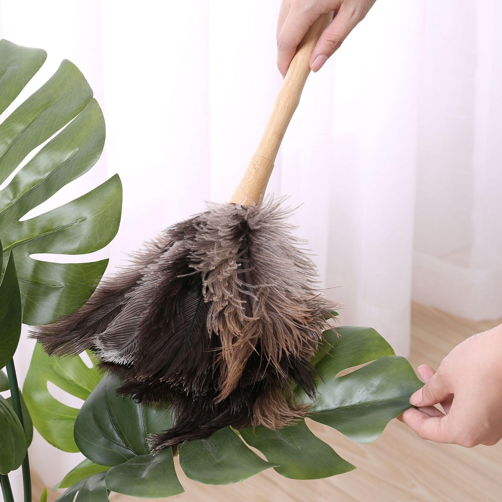 开普特鸵鸟毛除尘掸 家用车用卧室羽毛装饰鸡毛掸子 不易掉毛扫灰