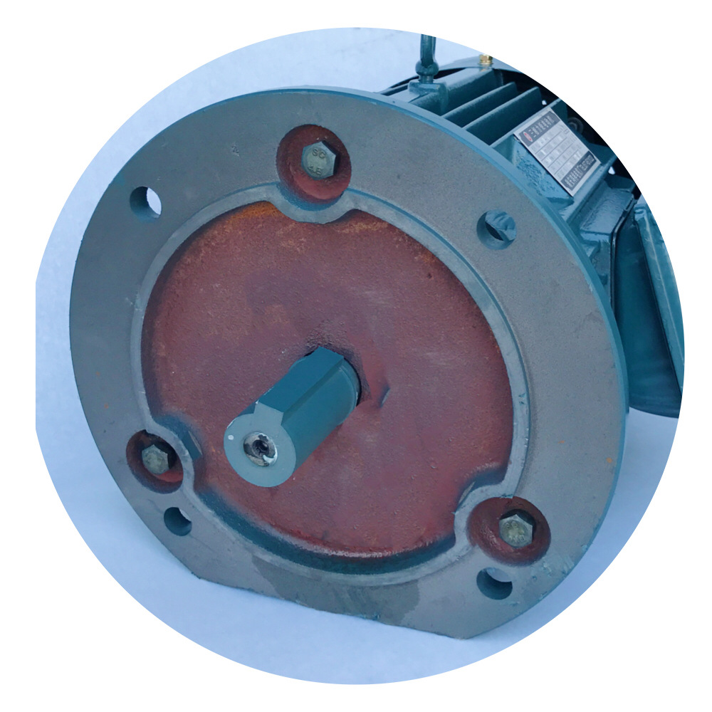 厂家生产并直销三相力矩电动机ylj112-10-6立式电动机