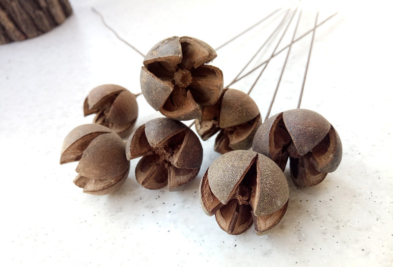 铁杆大十字果本色森系zakaa 文艺小清新干花真花拍摄道具批发