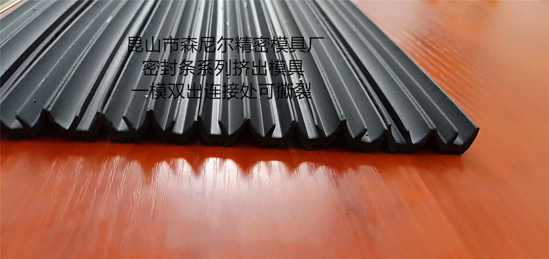 密封条挤出模具 冰箱密封条挤出模具 pvc密封条挤出  tpv密封条