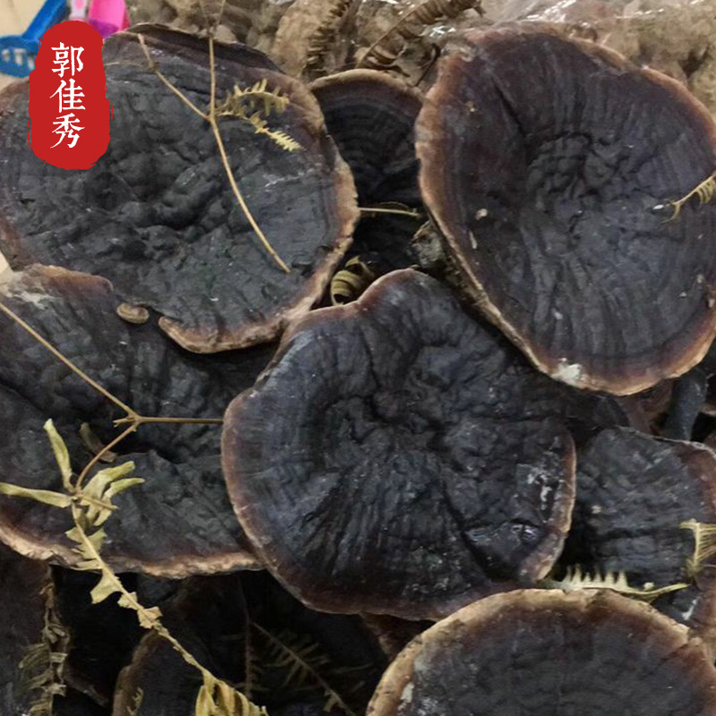爆款江西金边白底火烤香芝滋补品 现货批发多功效火烤香芝 品质款