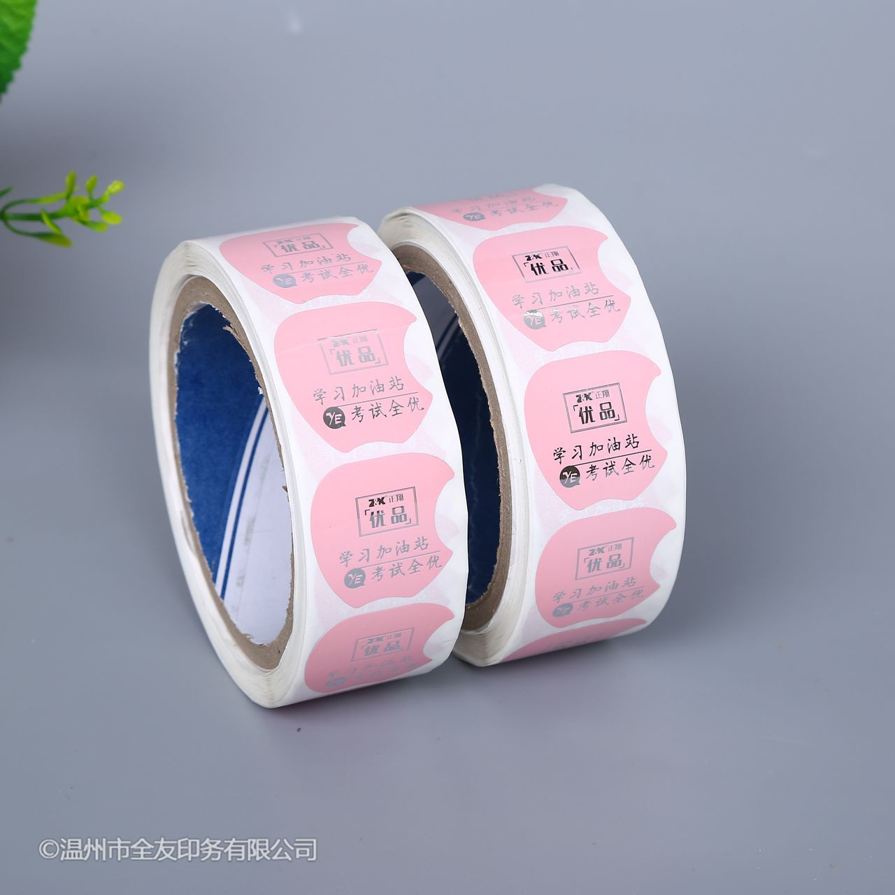 直销亚银不干胶标签pvc不干胶透明贴纸哑银logo彩色不干胶定制