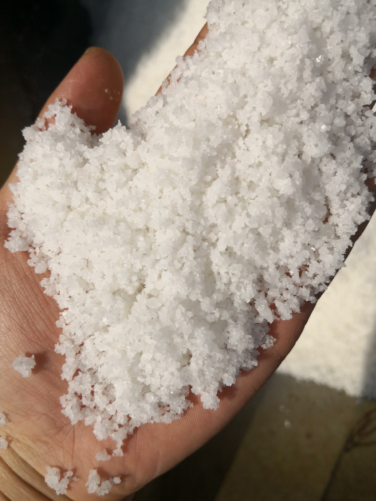 山东莱州日晒盐厂家 海盐 腌制盐 水产养殖盐 水洗盐 小白盐日晒