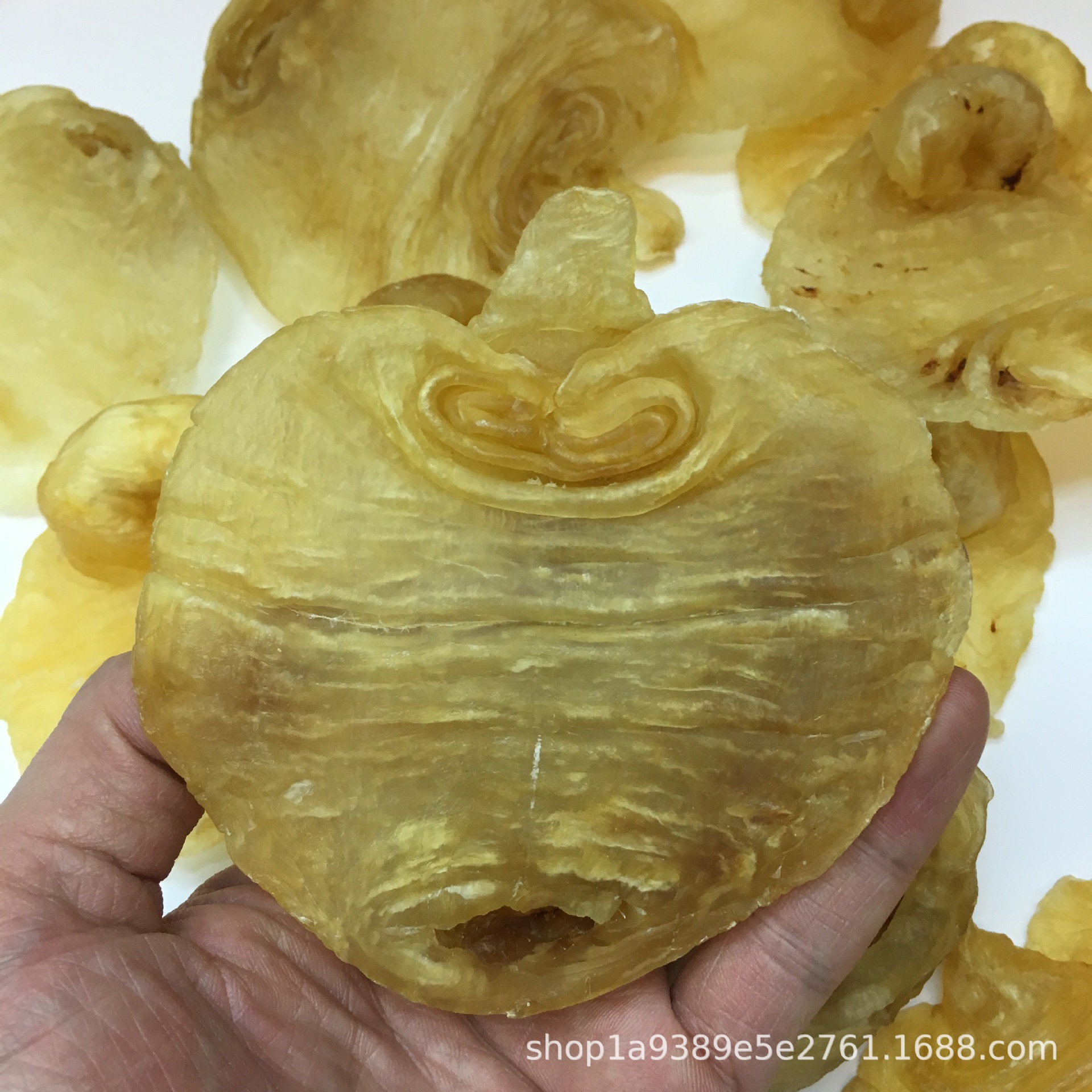 非洲赤嘴 赤嘴鱼胶 白鳘 深海野生鳘鱼胶鱼肚花胶干货 批发