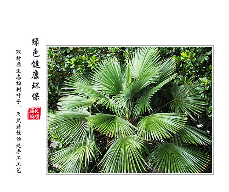 良顺 手工老式棕叶大蒲扇芭蕉扇舞蹈绘画扇夏季宝宝纳凉驱蚊扇子