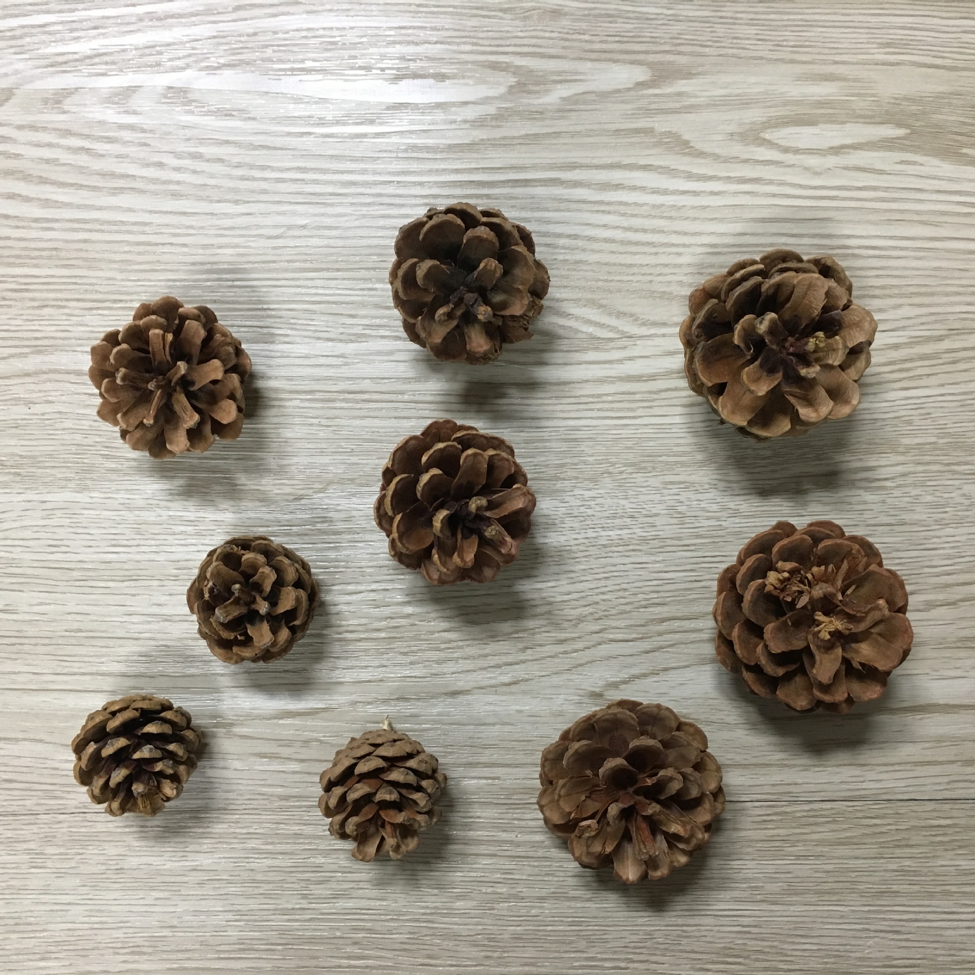 原色天然松果圣诞装饰品摆件圣诞树挂件干花diy手工材料本色松果