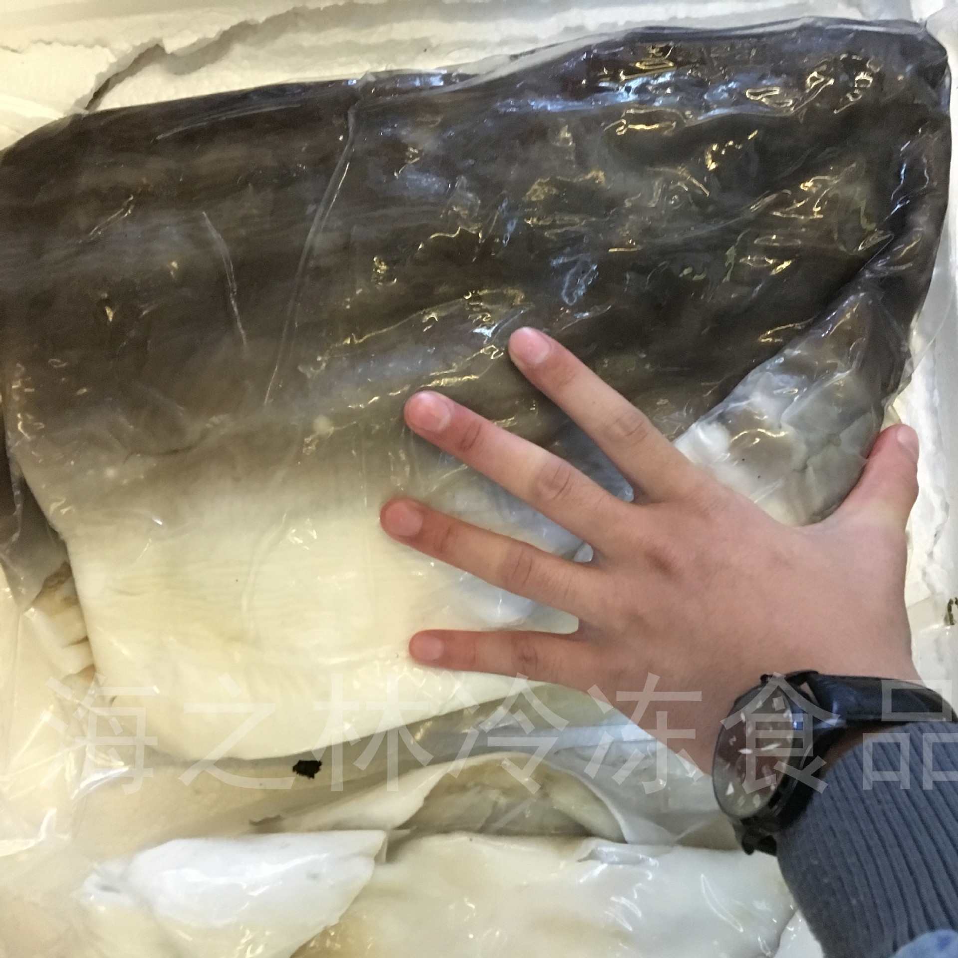 【海之林】鲨鱼皮 深海鱼皮 深海水产冷冻产品