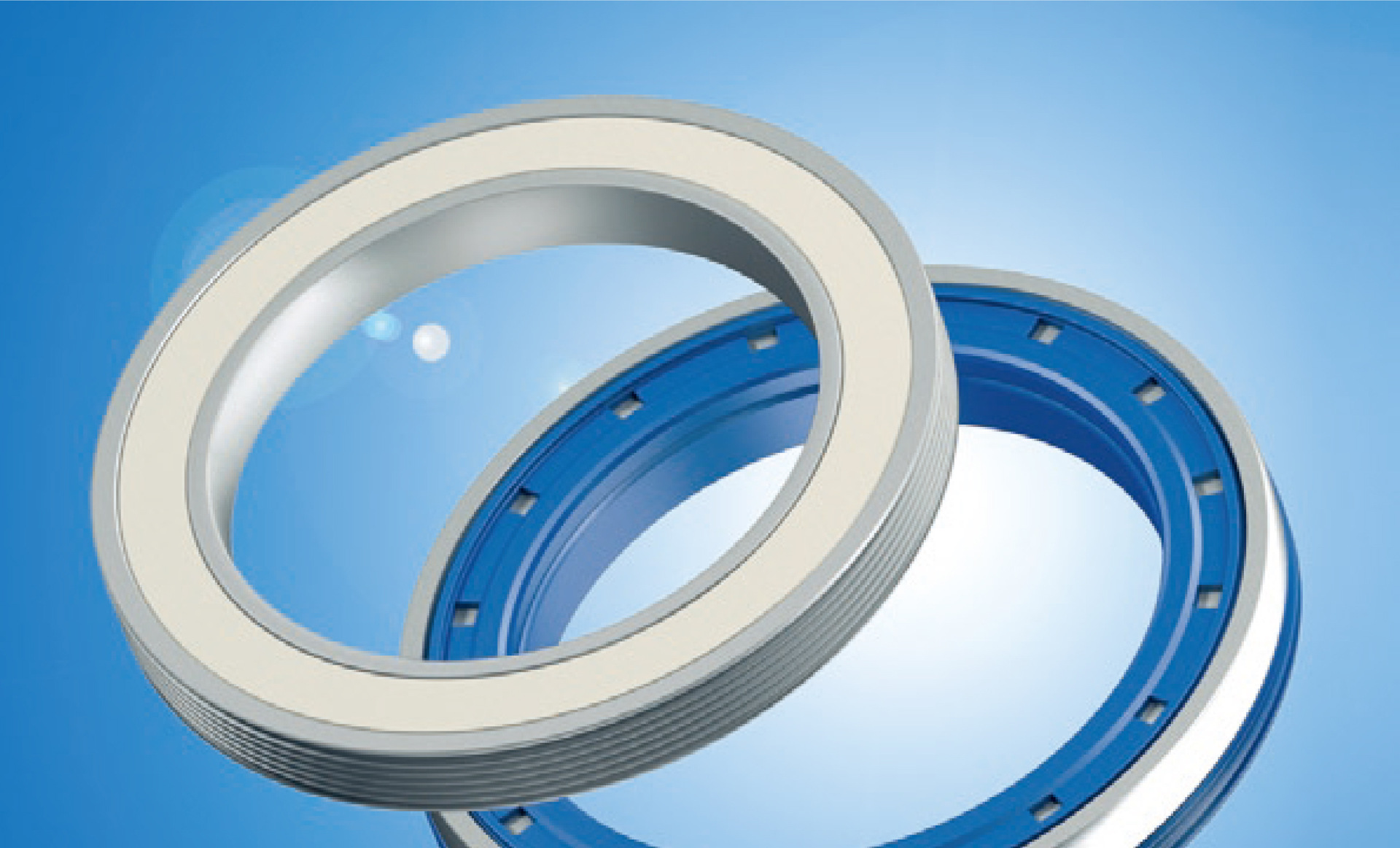 德国富德贝克simrit密封cfw旋转骨架油封 b1fudsl b1usl b1sl b1