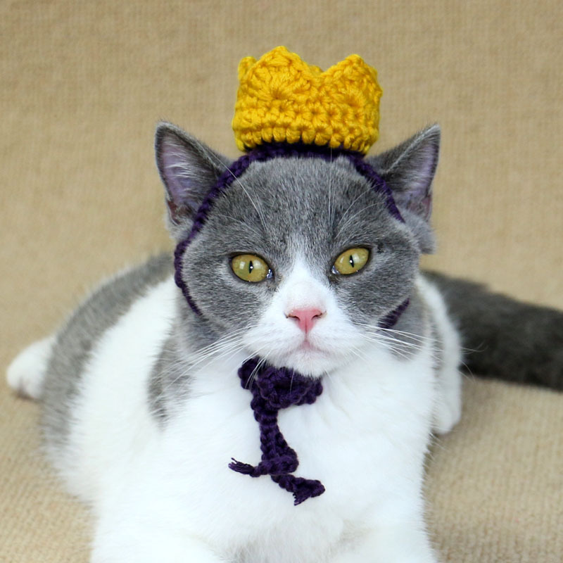 宠物头饰王冠 猫咪皇冠可定制