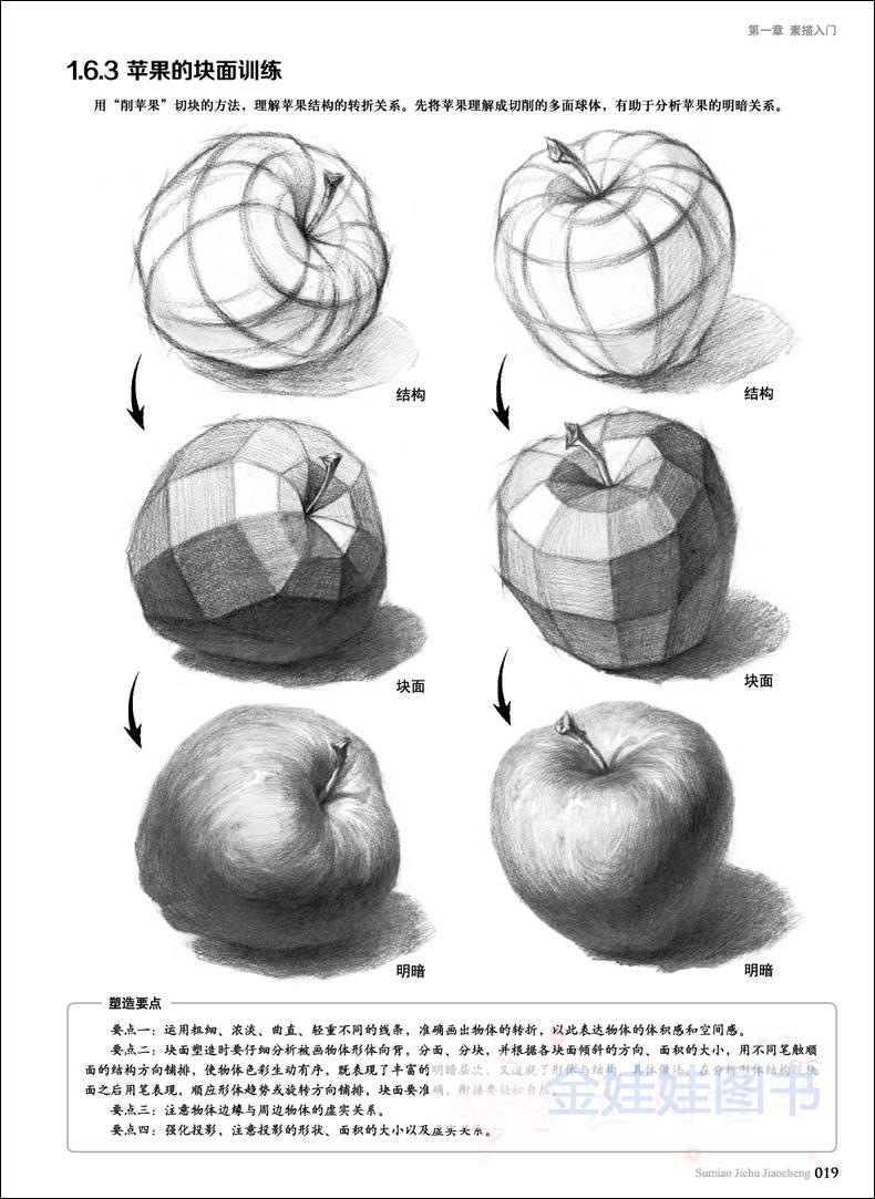 素描基础教程 零基础自学入门美术绘画教程 学生成人手绘教材书籍