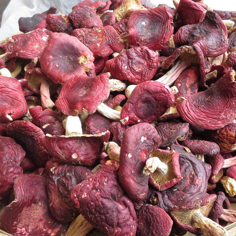 云南野生红菇干货 食用红面姑 产地批发二红菌姑 食用菌厂家直供