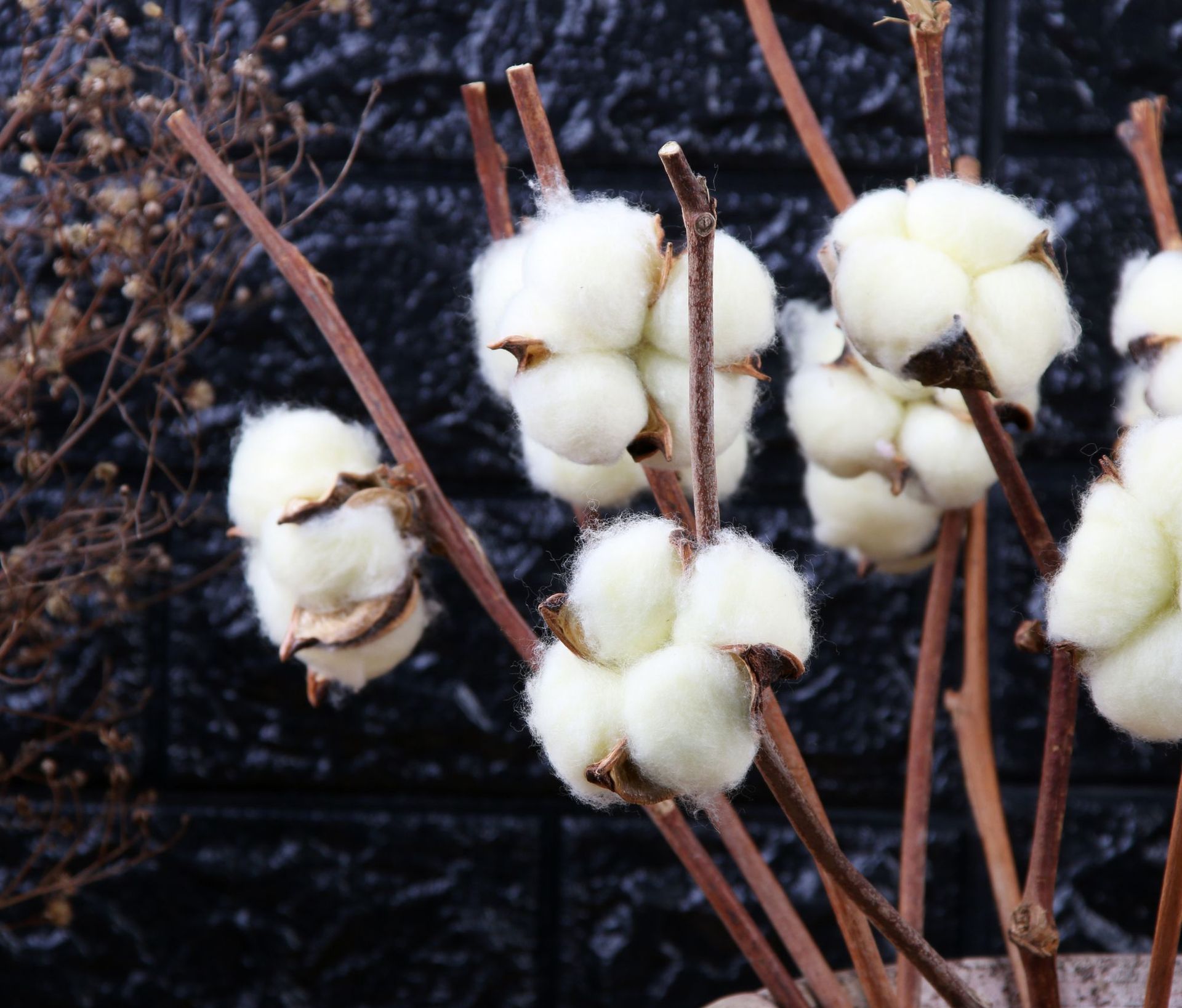 厂家直销仿真棉花客厅装饰插花拍摄道具纯手工棉花真杆棉花永生花