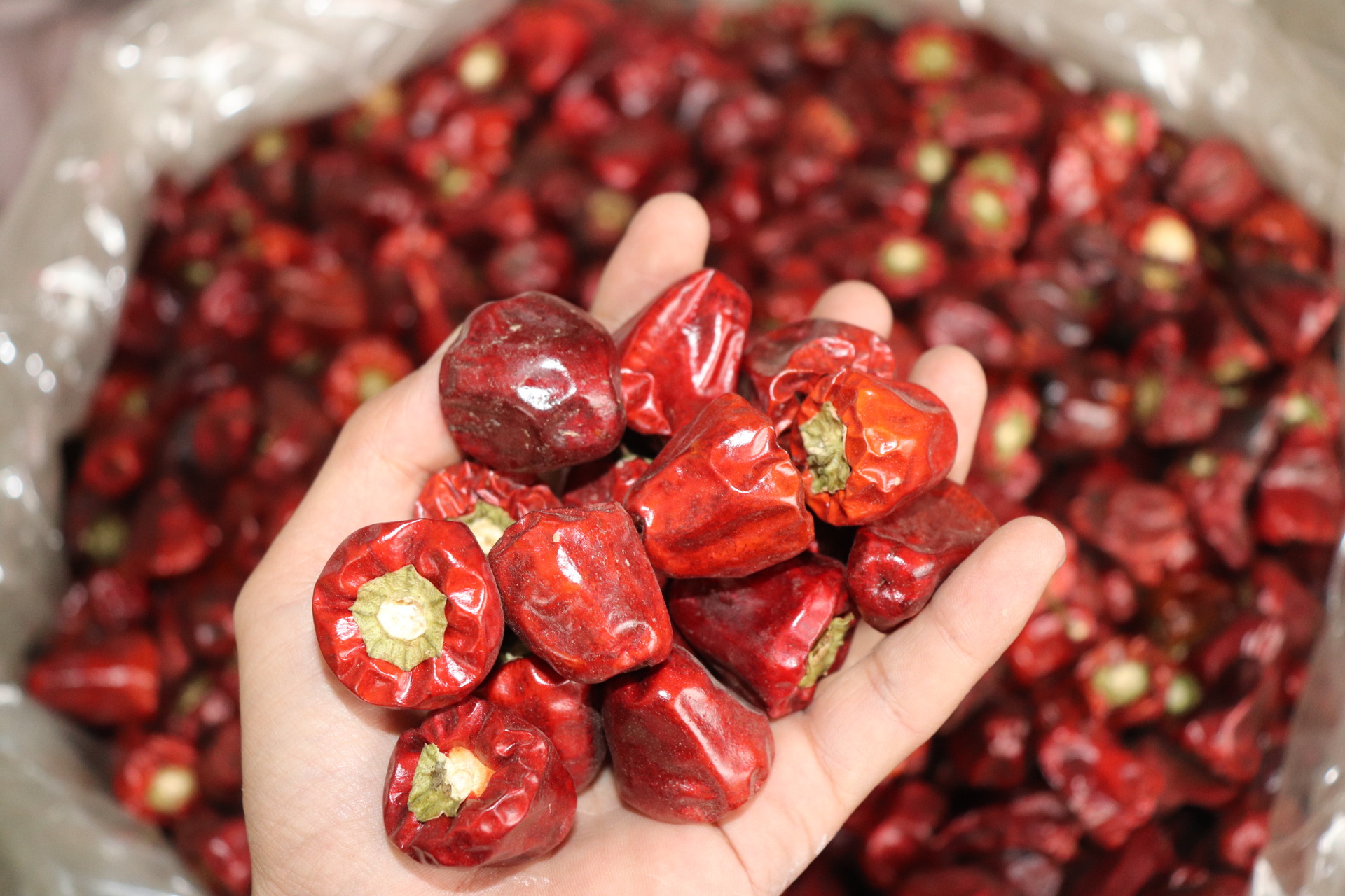 贵州灯笼椒批发 散装500g中辣超香红艳干度足灯笼椒 现磨干辣椒粉