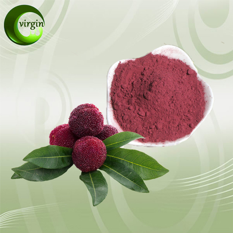 杨梅粉 全水溶杨梅果粉 食品固体饮料原料 厂家直销杨梅提取物