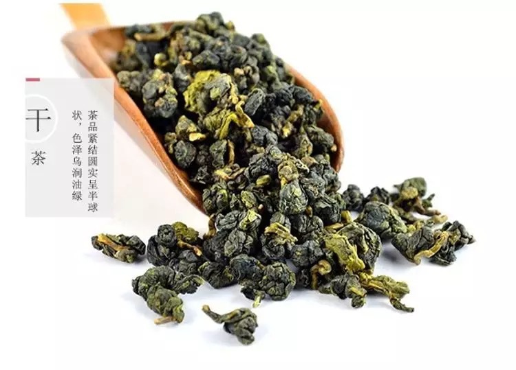 台湾梨山冻顶乌龙四季春茶高海拔产区奶茶冷饮果茶原料餐饮用茶