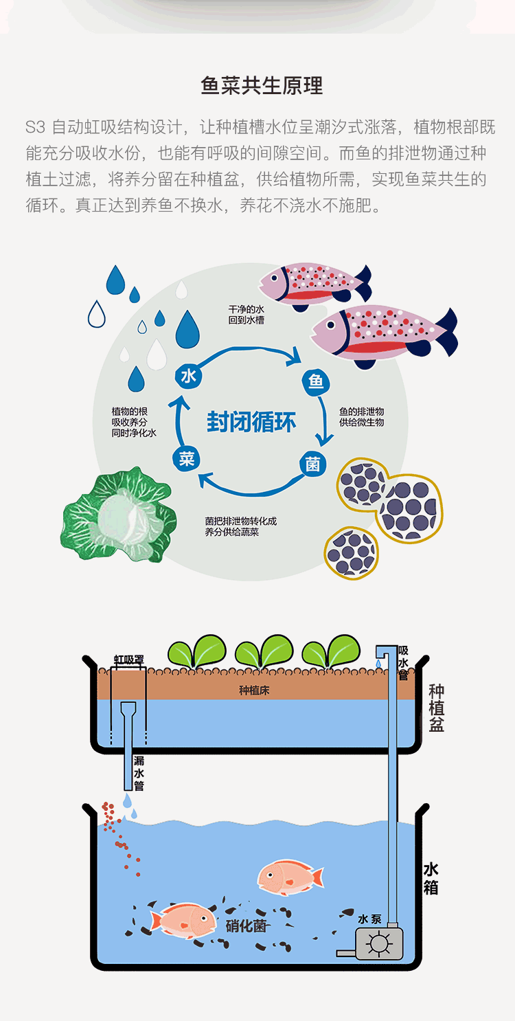 鱼菜共生 懒人免换水创意桌面鱼缸 家用迷你小超白生态亚克力鱼缸