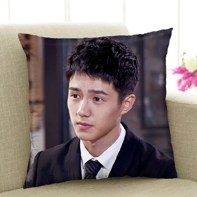 刘昊然抱枕靠垫双面含芯定制来图定做diy真人照片学生靠枕头送礼