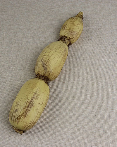 仿真藕 蔬菜 仿真莲藕 假莲藕装饰摆设道具莲藕超高仿真莲藕玩具