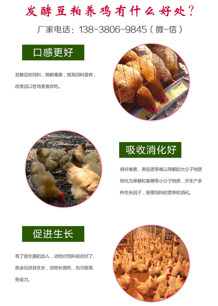 养鸡豆粕发酵剂发酵豆粕养鸡好处