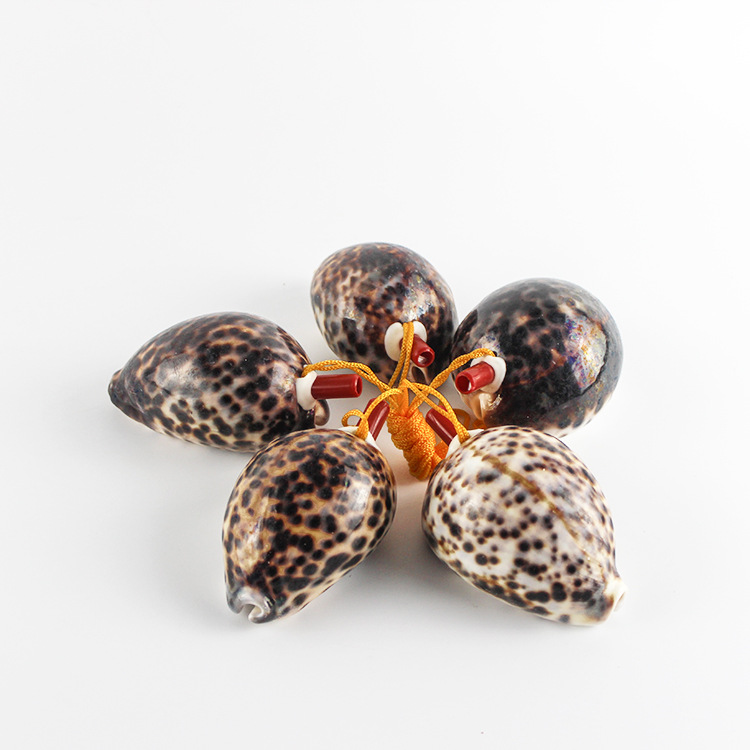 旅游工艺品批发 天然海螺口哨 虎贝黑星海螺贝壳口哨 发声玩具